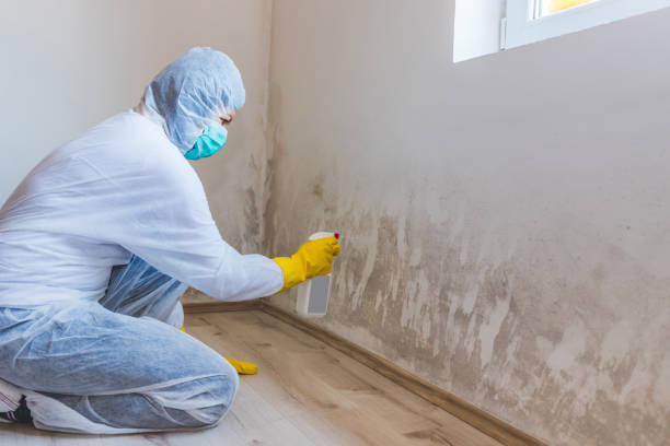 Licensed Mold Testing service in Bentonville, VA - WQB Mold Removal