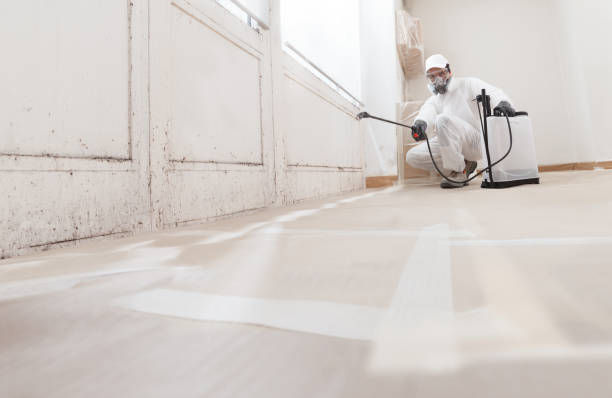 24/7 Emergency Mold Testing experts in Bentonville, VA