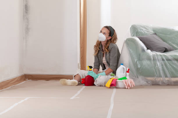 Reliable Mold Testing contractor in Bentonville, VA by WQB Mold Removal